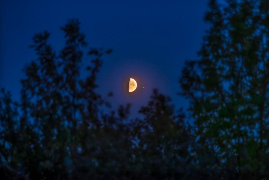 See The Moon Meet Two Of Summer’s Brightest Stars: Night Sky This Week