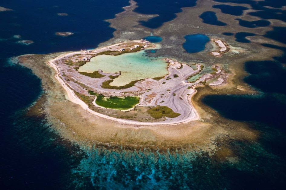 Coral reefs on a remote archipelago shrugged off a massive heatwave