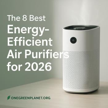 8 Best Energy-Efficient Air Purifiers of 2026