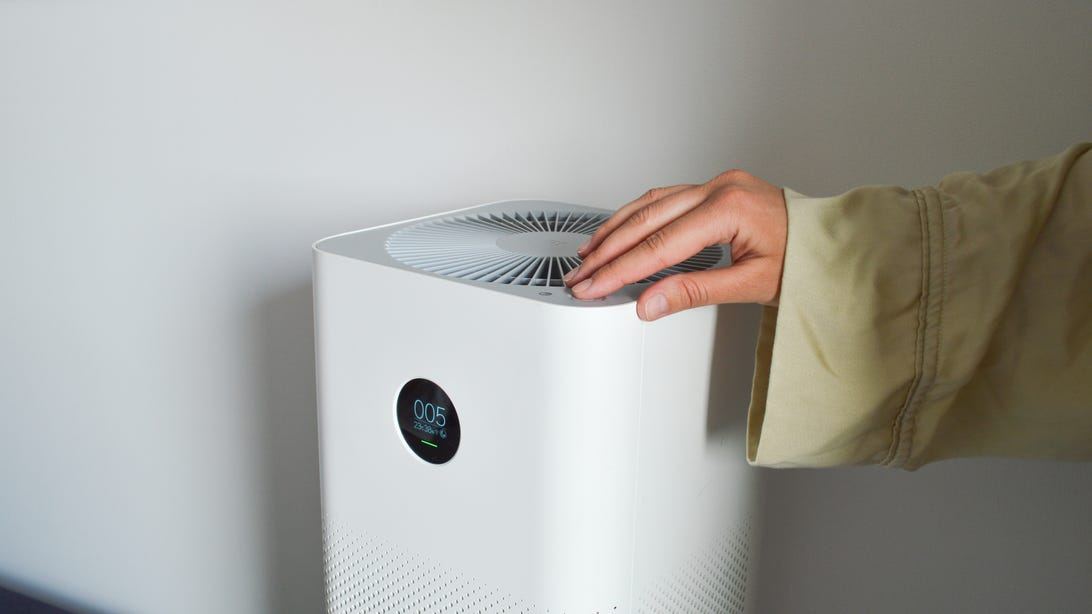 Your Air Purifier Could Spit Pollutants Back Into the Air if You Make This One Mistake