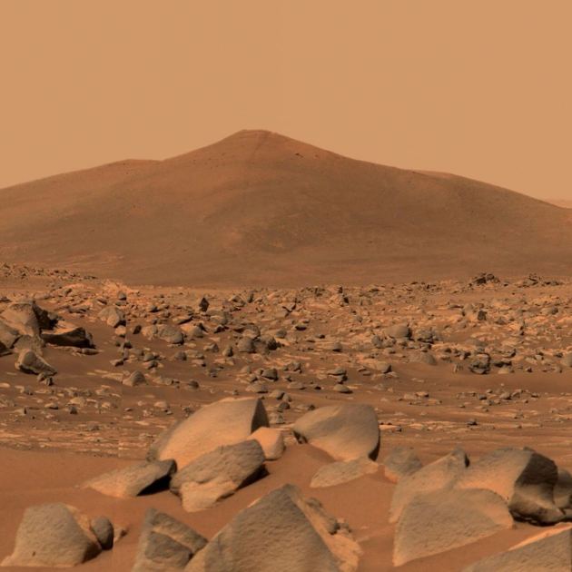 Could an Earthly Fungus Contaminate Mars? NASA May Have Found One Hardy Enough.