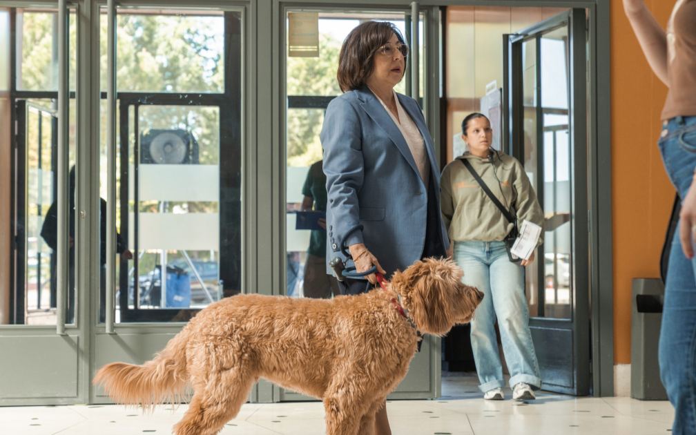 Serielizados Unveils Lineup with ‘Celeste’ Season 2, Hagai Levi, Diane Morgan and the Sánchez-Cabezudo Brothers Series in Competition (EXCLUSIVE)