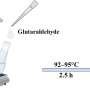 Biopolymer-based hydrogel formulations for improved seed coating performance