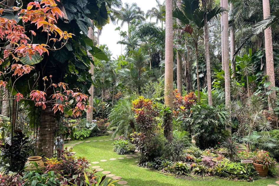 Sun, sea and spectacular gardens: Why Barbados is a must-visit for plant lovers