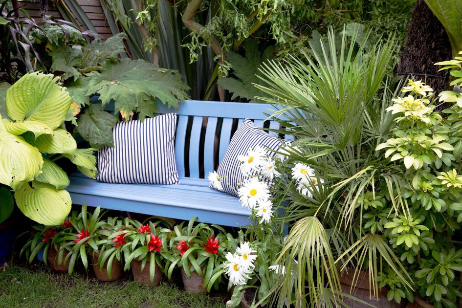 Want to boost your garden's privacy? Try any of these 37 perfect plants
