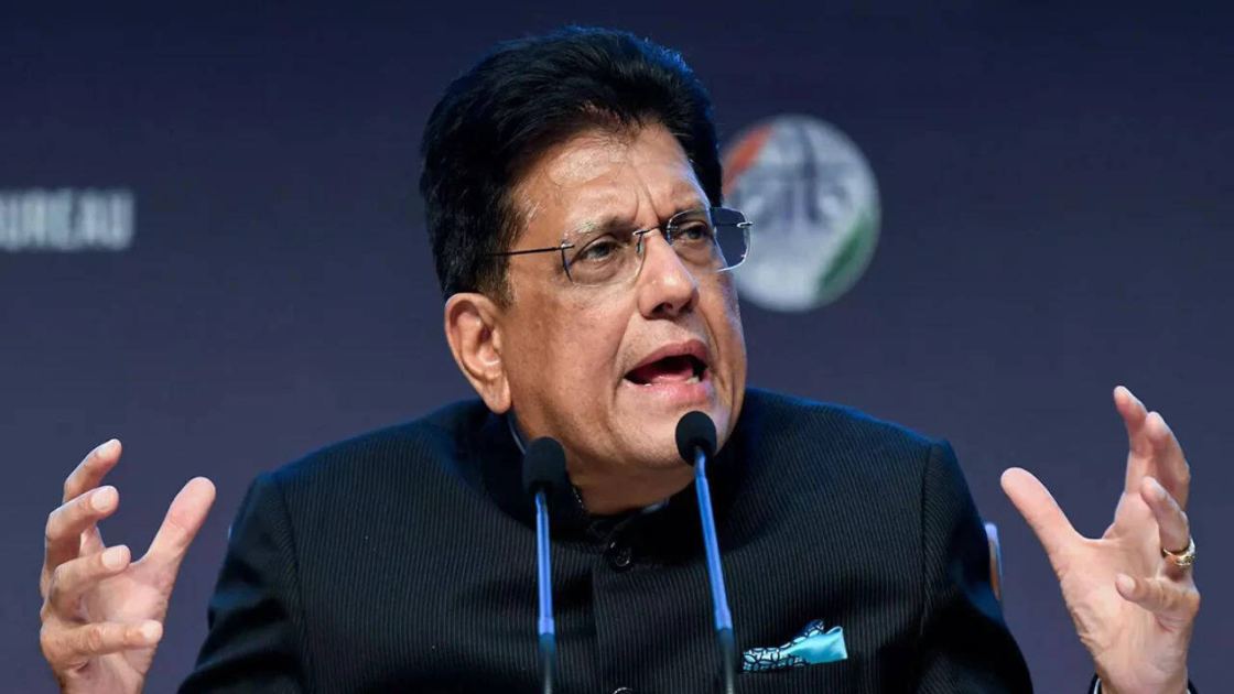 'Jobless people on TV': Goyal attacks oppn, ex-finance secy for doubting GDP growth