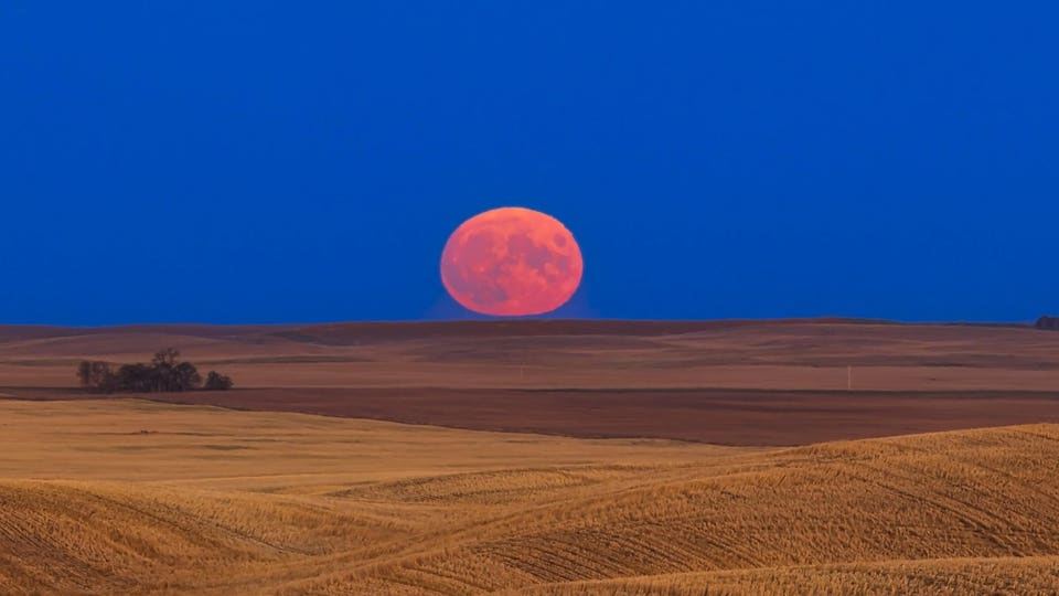 See The Harvest Moon Rise As Venus Blazes Brightest: The Night Sky This Week