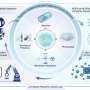 AI-driven polymer discovery could replace years of trial and error with closed-loop testing