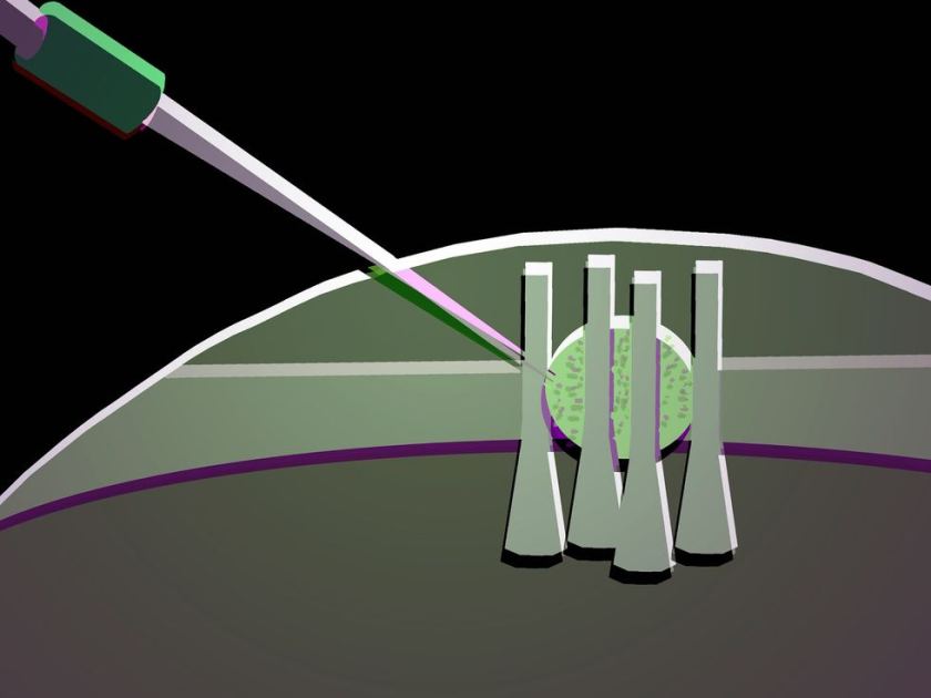 Squishy Photonic Switches Promise Fast Low Power Logic