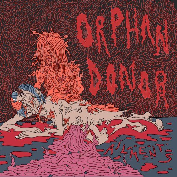 Orphan Donor Announce New Album Ailments: Hear “Show Me The Way”