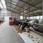 Microorganisms show promise for reducing emissions from manure