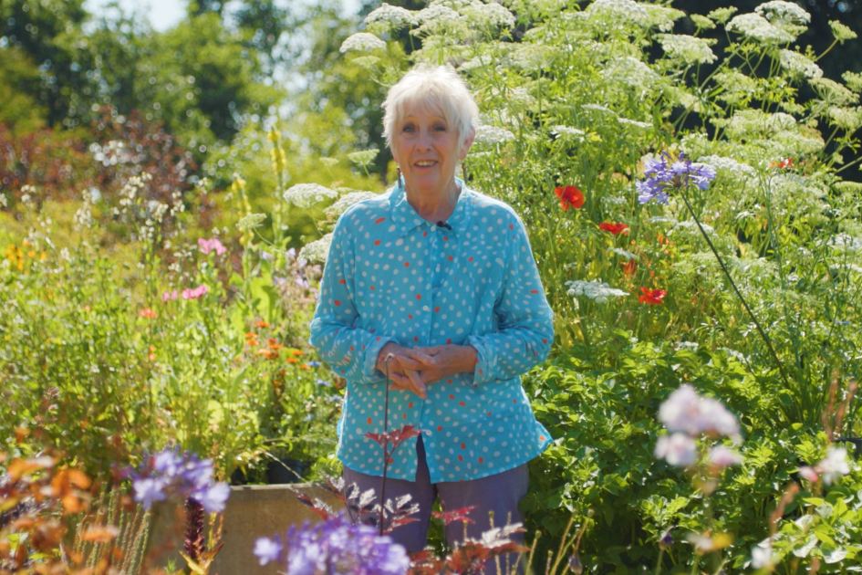 A visit to Carol Klein’s garden taught us these 4 brilliant gardening lessons