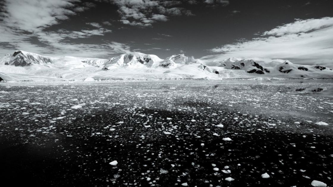  A Texas-size chunk of winter sea ice is missing from Antarctica — and it's probably not coming back 