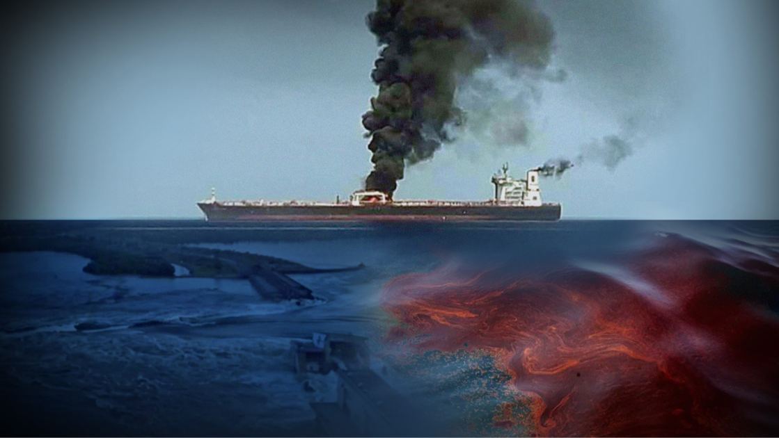 Місце злочину – Чорне море. Як війна отруює воду, вбиває тварин і змінює ландшафти