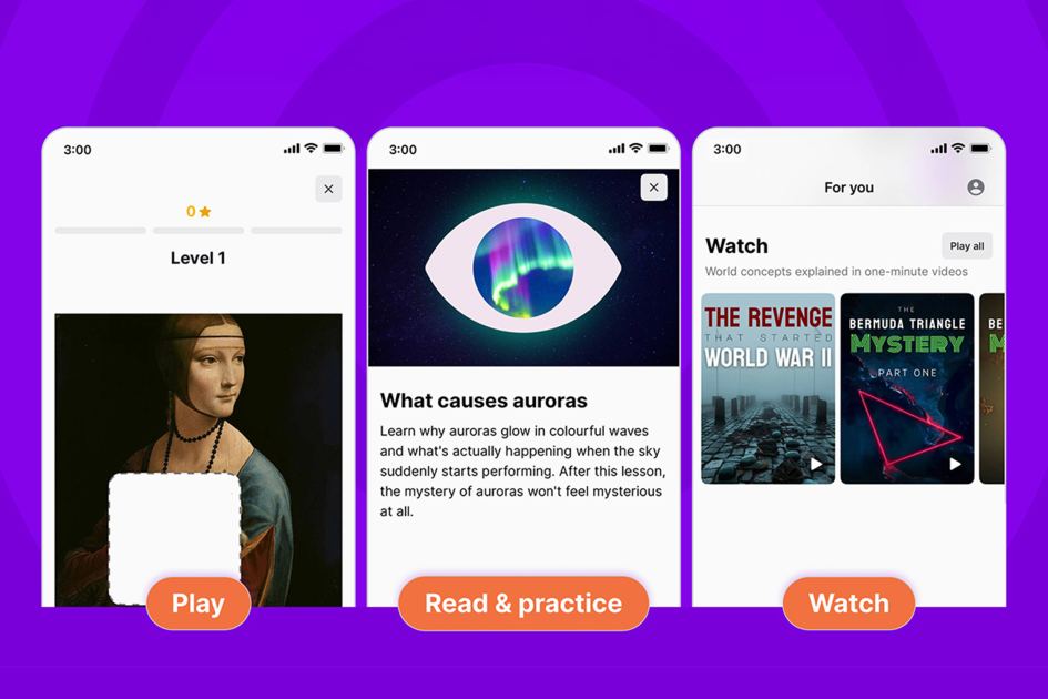 Unrot your brain with 88% off this interactive learning app