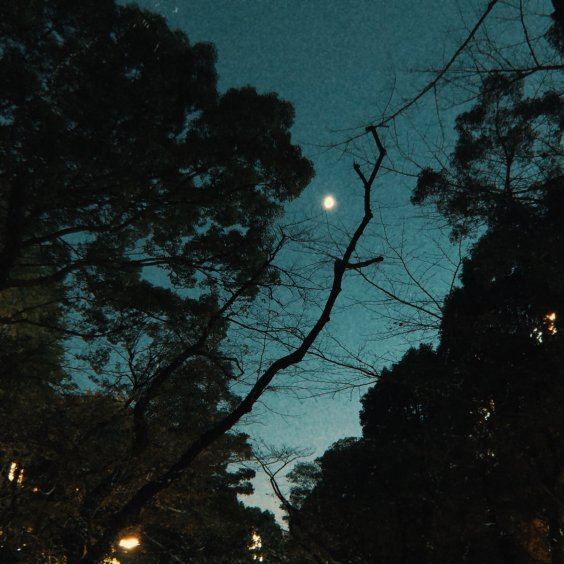 Stream British Fingerstyle Master James Blackshaw’s New Album Fractures On The Horizon