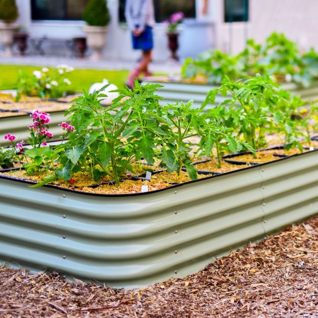  4 Easy Ways to Turn Raised Beds Into Self-Watering Gardens That Thrive in Summer Heat & Drought – Even When You Leave Town 