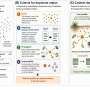 Trace molecules emerge as chemical 'keystones' that steer life's communities