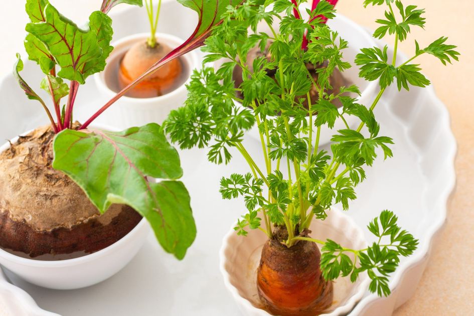 Supermarket hacks: five supermarket staples you can regrow for free