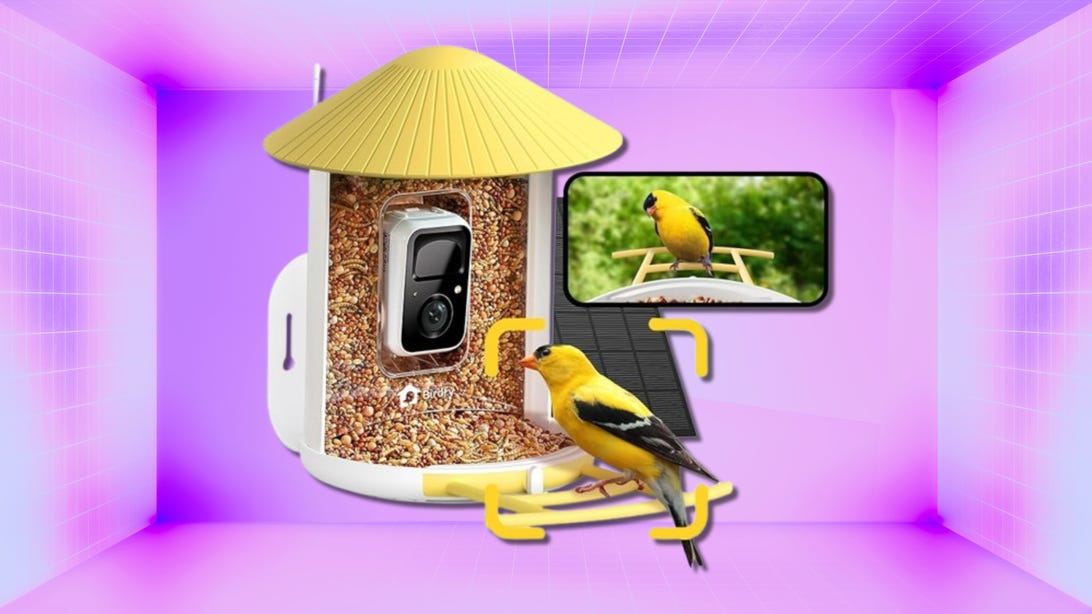 With $31 Off at Amazon, This Smart Bird Feeder Is a Cheep Buy This Spring Sale but Time Is Running Out