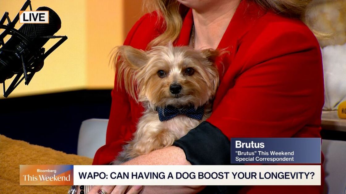 School Buses, Tipping, Dog Companions | BTW: Headlines You Should See