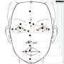 New forensic tool provides intelligence to link serial killer victims by analyzing facial similarities