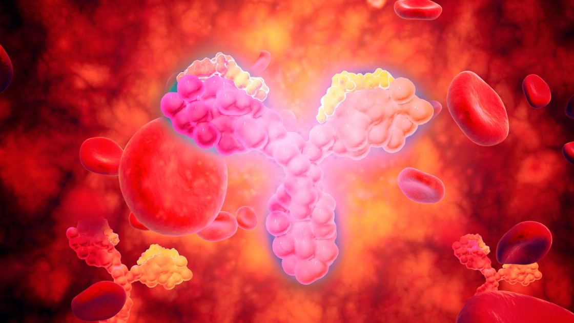  One underlying cause of inflammatory bowel disease pinpointed in new study 