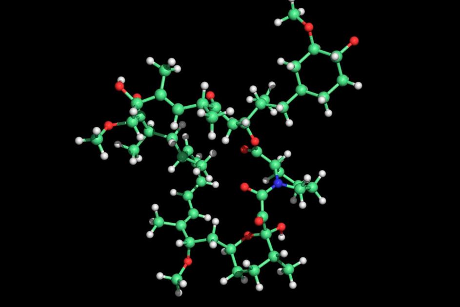 Rapamycin can add years to your life, or none at all – it’s a lottery