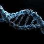 Japan's genome-editing law sets a global ethics challenge