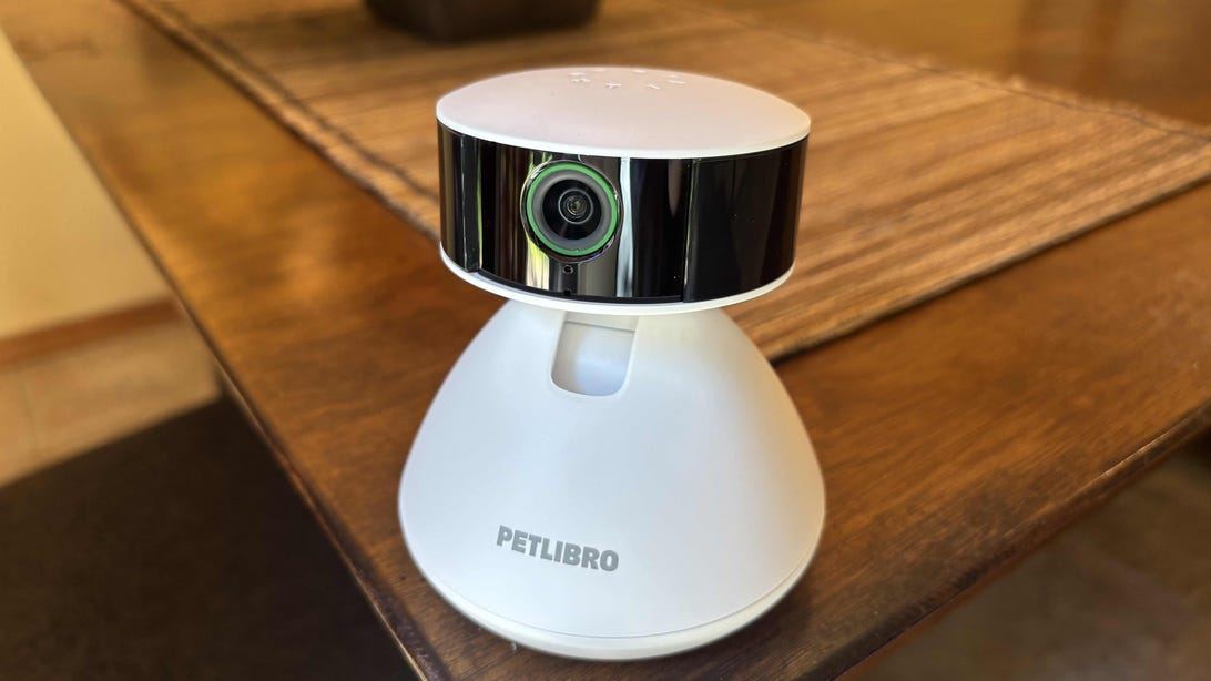 Petlibro's New Pet Cam Is a Solid Entry Model, Especially if You Ditch the AI