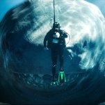 Inventory: 10 gimmick-driven shark movies trying to outswim Jaws