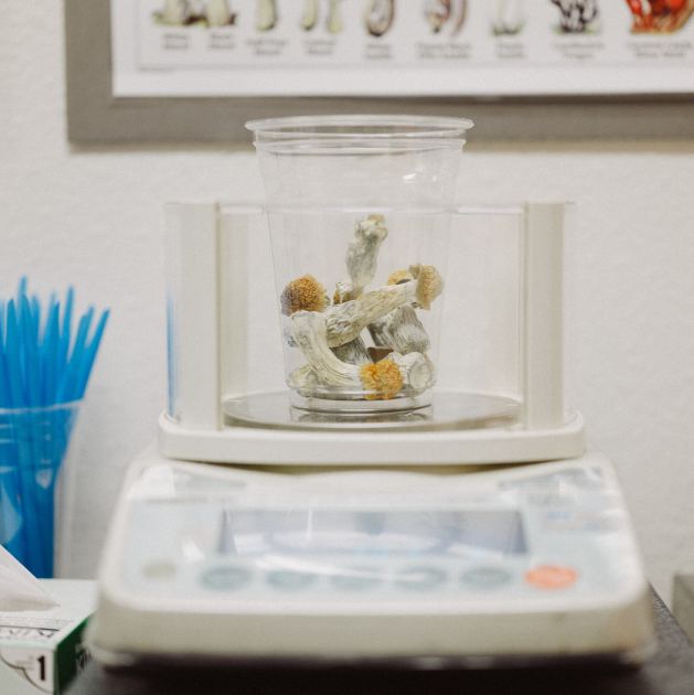 Psilocybin May Prevent Nerve Damage Caused by Chemotherapy, Study Finds