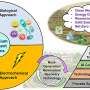 AI guardians: Bridging digital innovation and sustainability for cleaner water