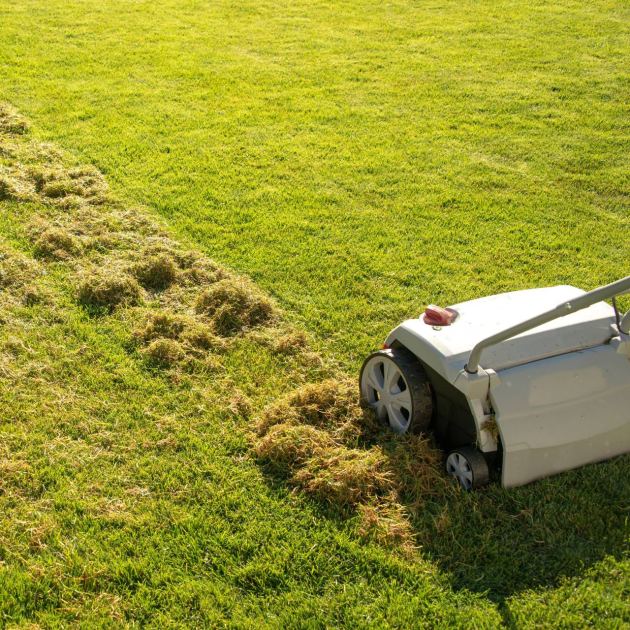  Scarifier vs Dethatcher: Experts Explain the Difference and Which One You Should Use on Your Lawn 