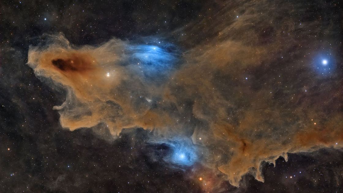  A space shark, 'royal' auroras and a 'Venusian pearl': See the winners of the 2026 ZWO Astronomy Photographer of the Year contest 