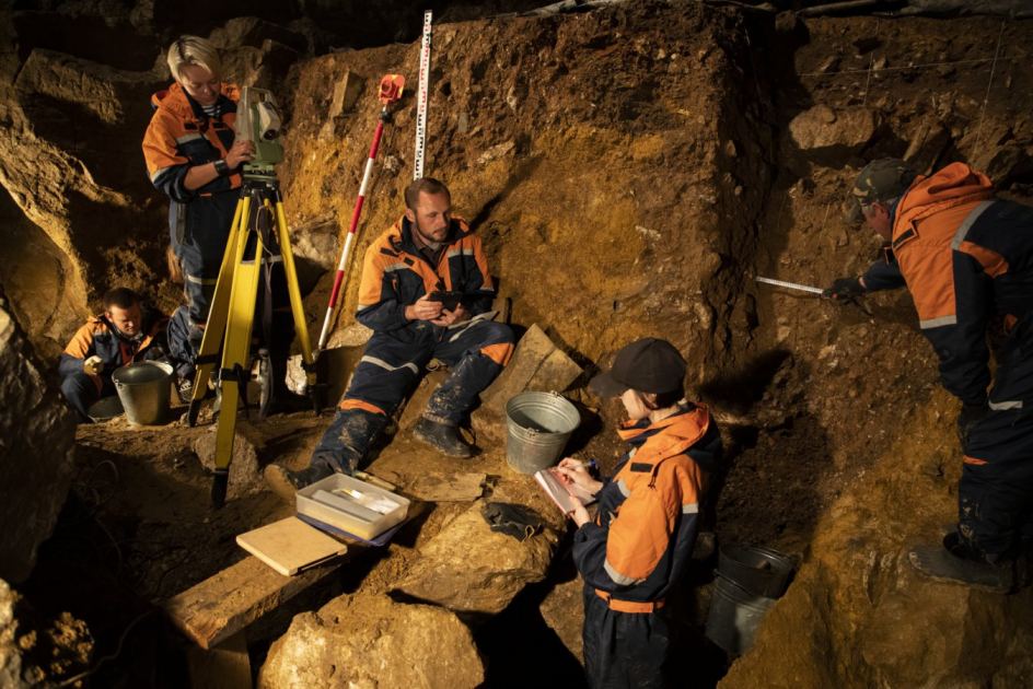 Extinct yak relative discovered from DNA in Denisova cave
