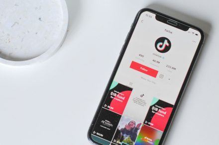 TikTok is going ad-free. At a monthly fee, of course.