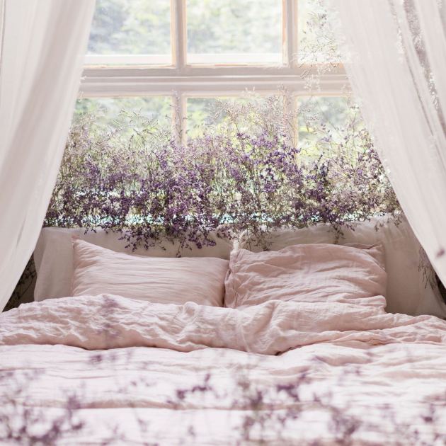  Want Fewer Bites at Night? These 7 Double-Duty Plants Help Keep Pests Out of Your Bedroom and Boost Mood 