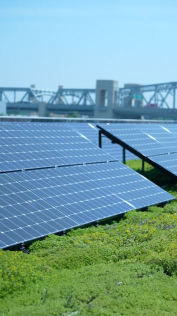 Five Myths About Solar Panels Debunked