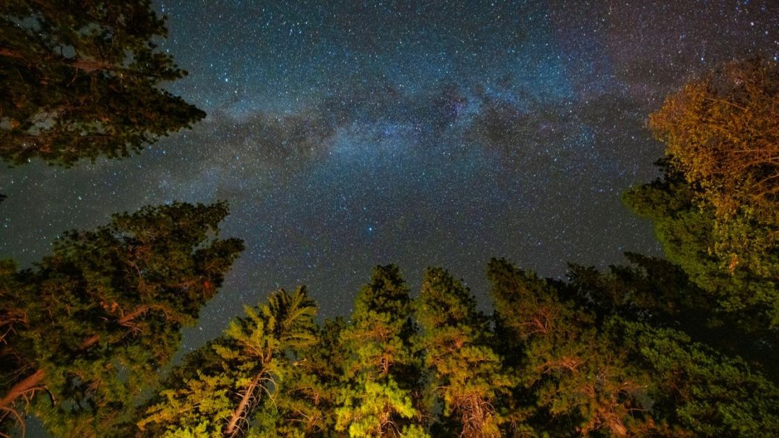  Light pollution may be erasing millions of dollars in value at US dark-sky parks 