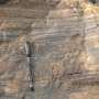 Layered rock in India shows potential signs of microbial life dating to 3.5 billion years ago