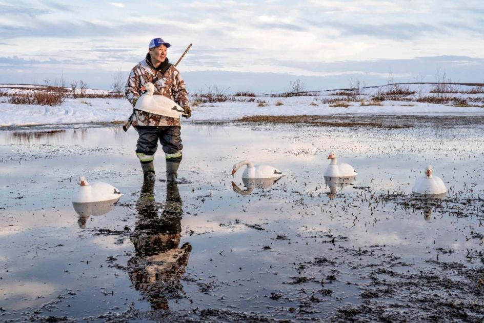 Evocative photos of Canadian Arctic win New Scientist Editors Award