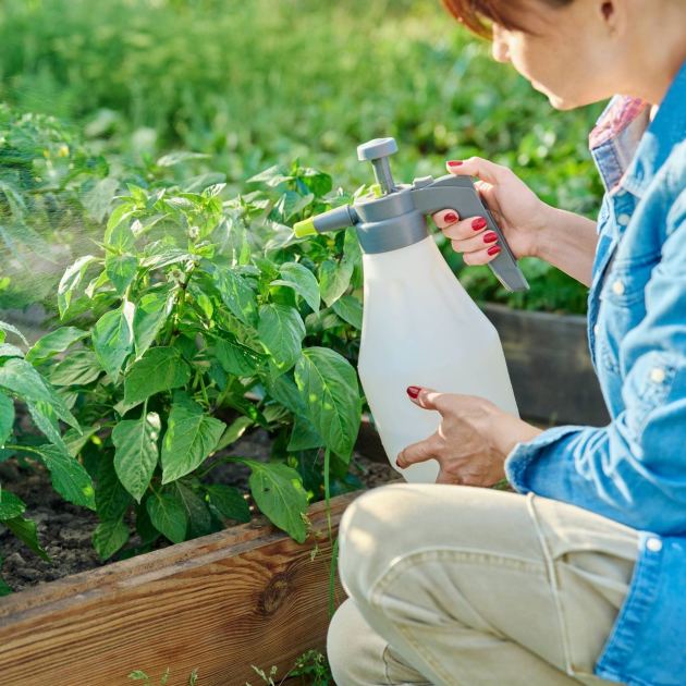  These Organic Pest Control Products Actually Work — Without Harsh Chemicals 
