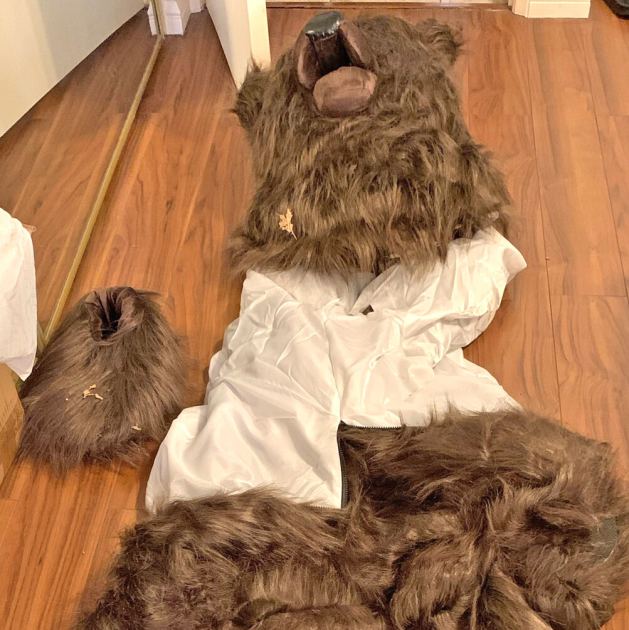 Humans Who Used a Bear Suit to Defraud Car Insurers Sentenced to Jail