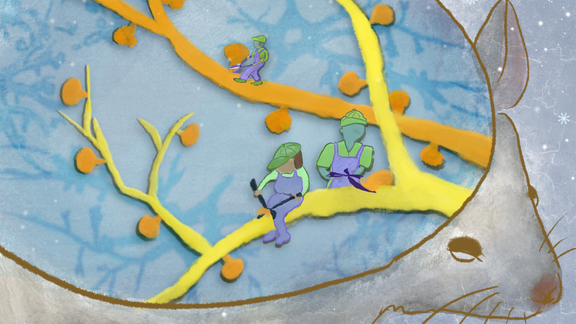  Memory may not work how we thought, study of mice in artificial hibernation finds 