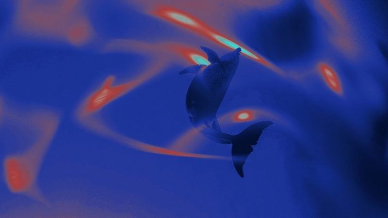 Ethereum ICO participant offloads $23 million in ETH: onchain analyst