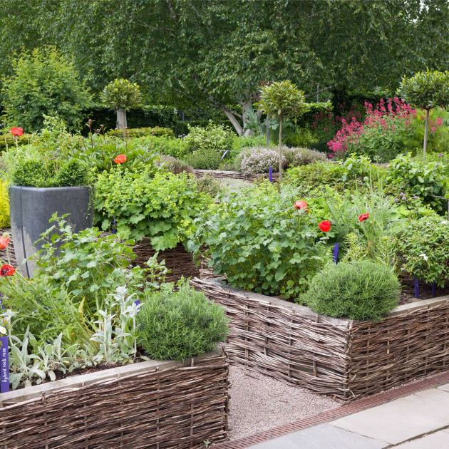  Think Companion Planting Doesn’t Stop Pests? It’s Because You’re Not Scent Clustering 