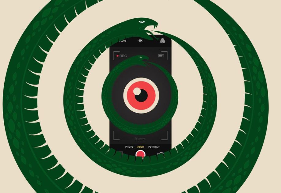 We Are Crowd-Sourcing the Panopticon
