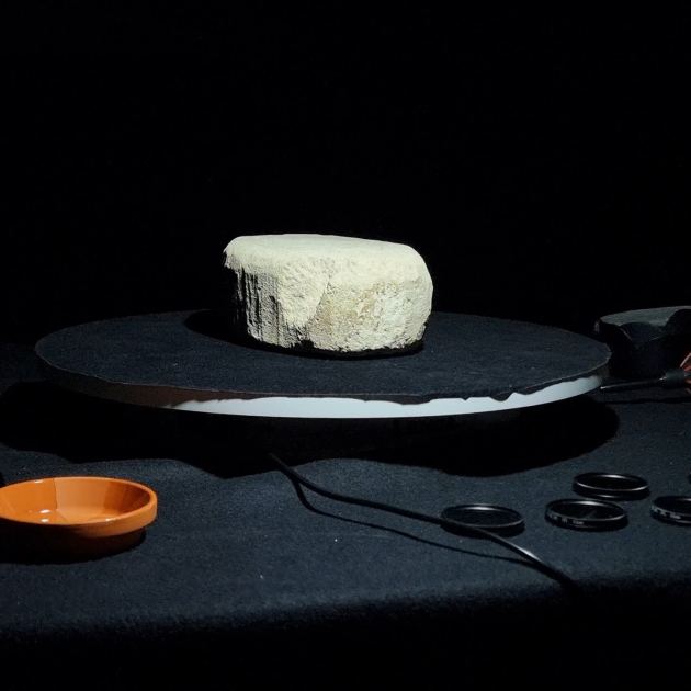 Archaeologists Decode Rules of an Ancient Roman Board Game