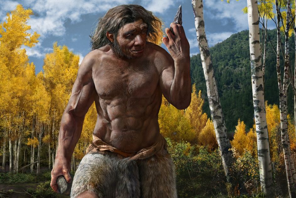 How humans evolved to be twice as big as our ancestors